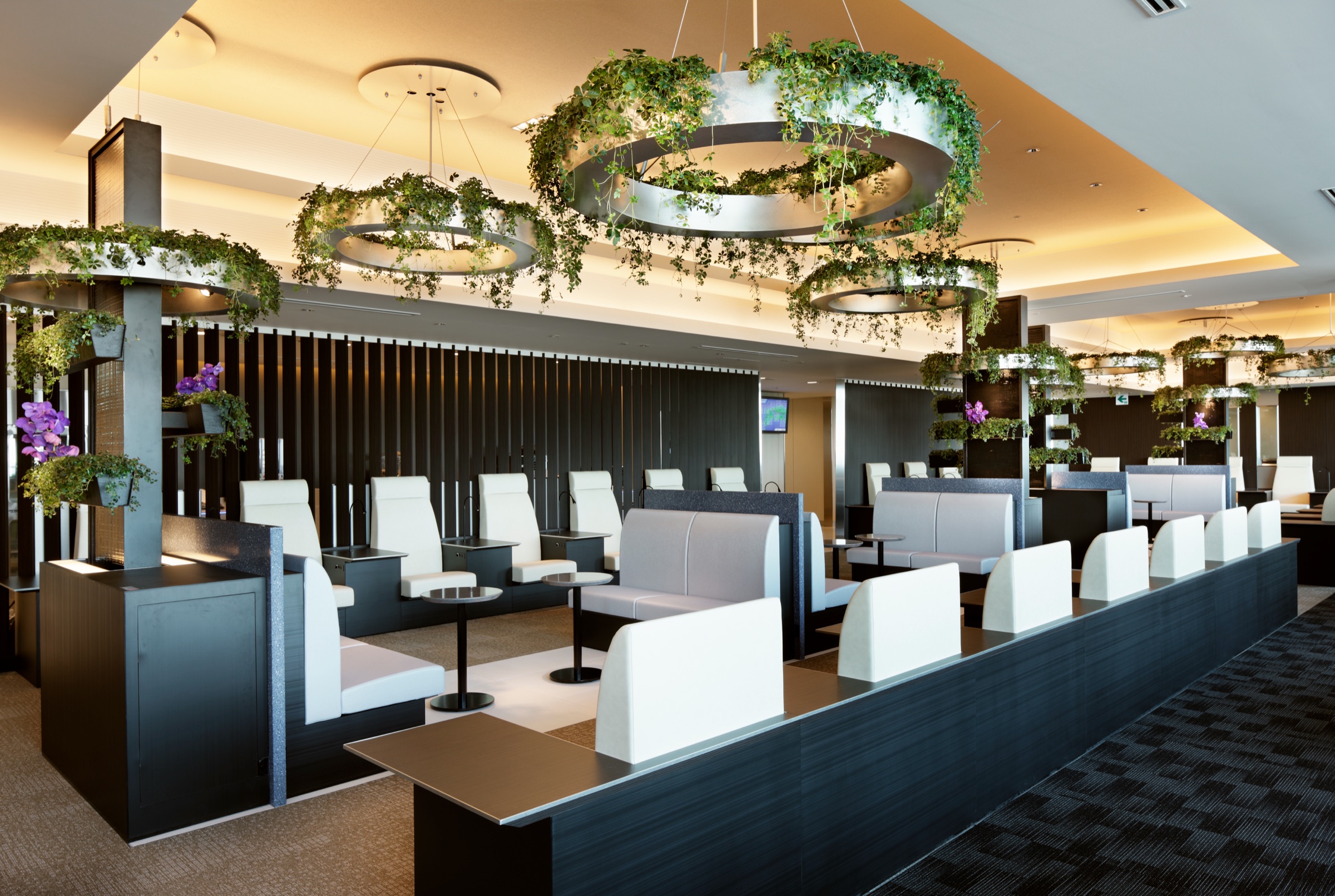 ANA Suite Lounge Haneda Domestic HND — photo 1 of 6